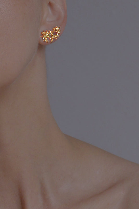 Stardust Earrings in Gold Vermeil