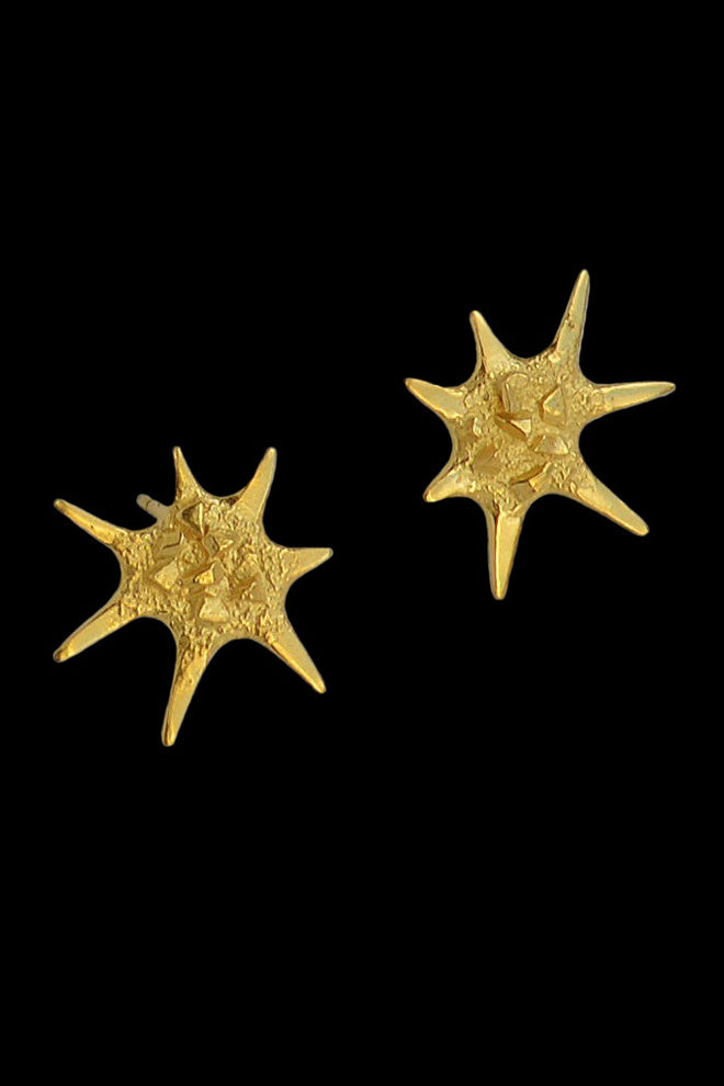 Star earrings in gold vermeil by Annika Burman