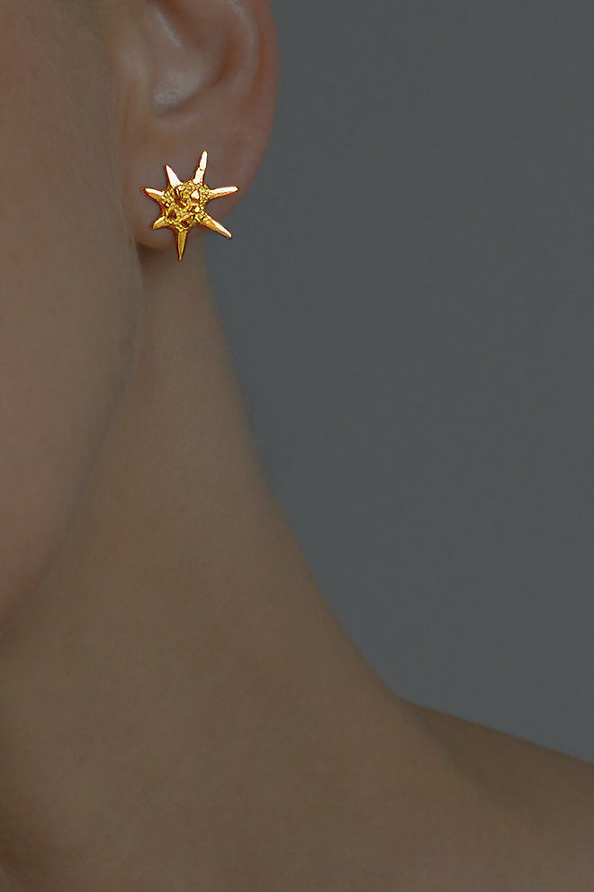 Star Earrings In Gold Vermeil